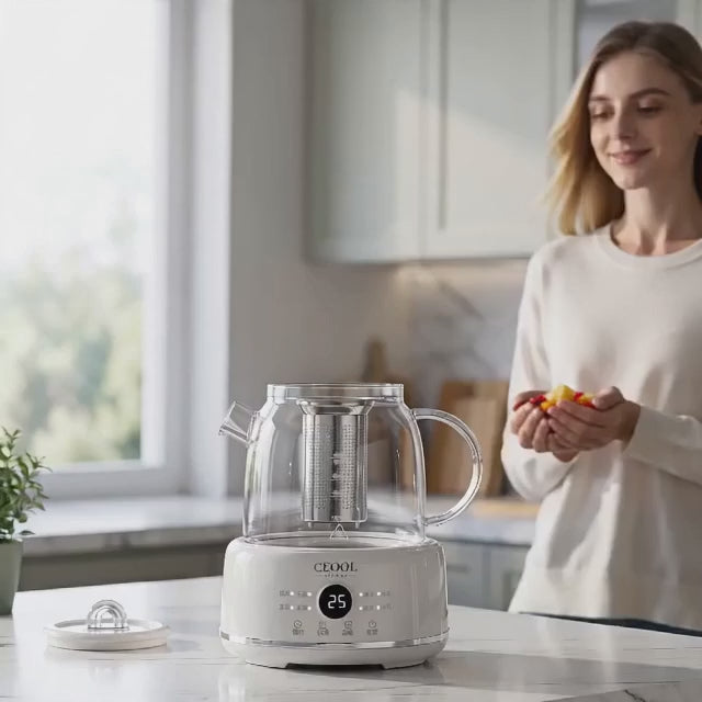 Electric Ceramic Stove and Health Kettle Set